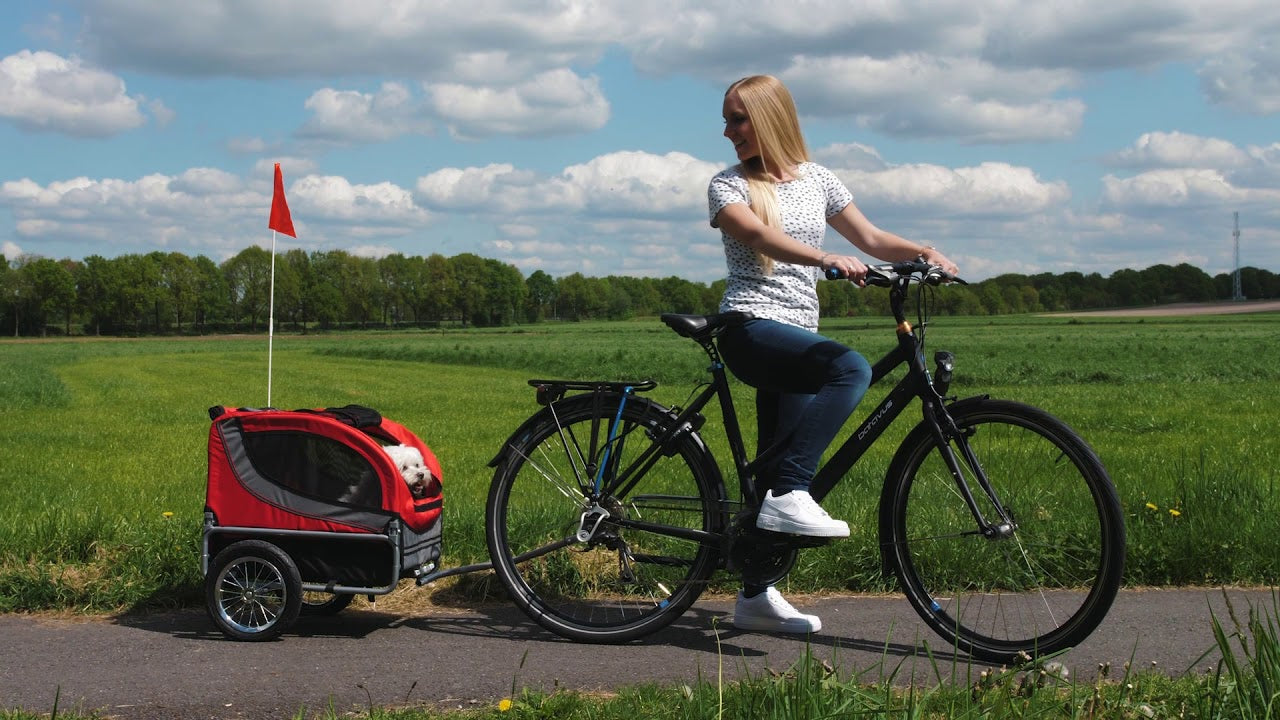 Bereid je voor op de Zomeravonturen met de Fietskar Runner en onze DoggyRide!