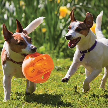 AnimalstoreXL Kong Jumbler Ball Large Extra Large