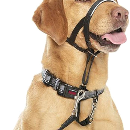 AnimalstoreXL Company Of Animals Halti Zwart Nr 0