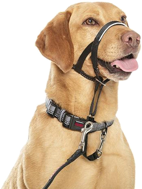 AnimalstoreXL Company Of Animals Halti Zwart Nr 0