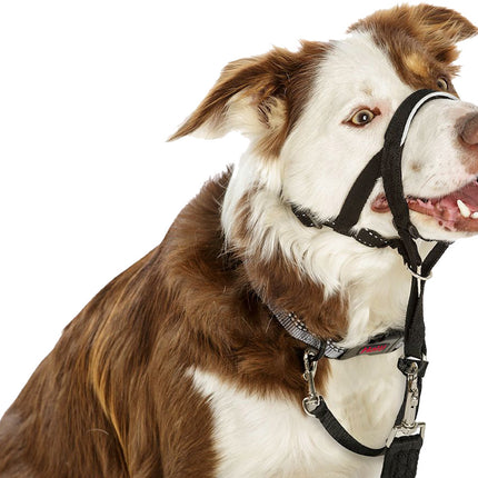 AnimalstoreXL Company Of Animals Halti Zwart Nr 0