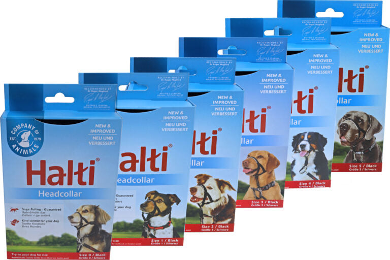 AnimalstoreXL Company Of Animals Halti Zwart Nr 0