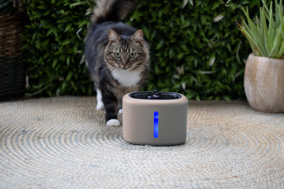 Boon drinkfontein aquabella 2,5 liter