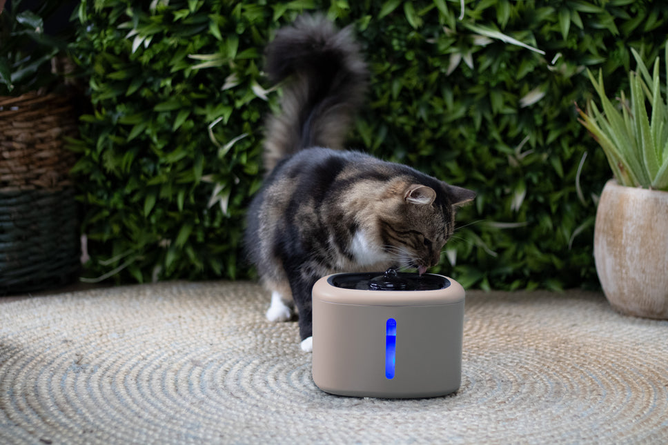 Boon drinkfontein aquabella 2,5 liter