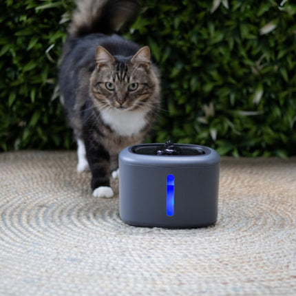 Boon drinkfontein aquabella 2,5 liter