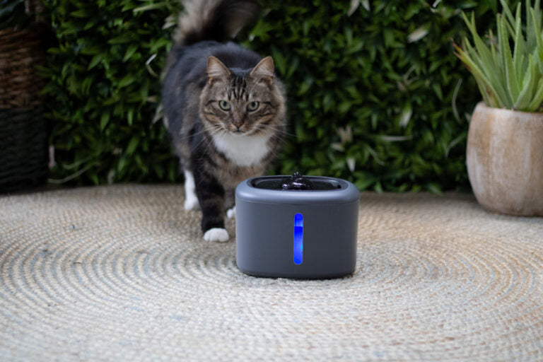 Boon drinkfontein aquabella 2,5 liter