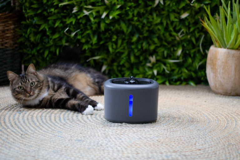 Boon drinkfontein aquabella 2,5 liter