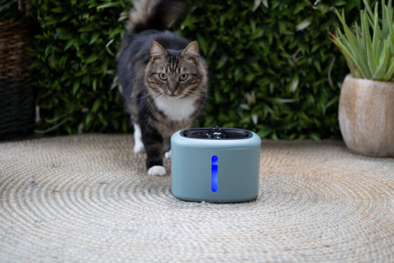 Boon drinkfontein aquabella 2,5 liter