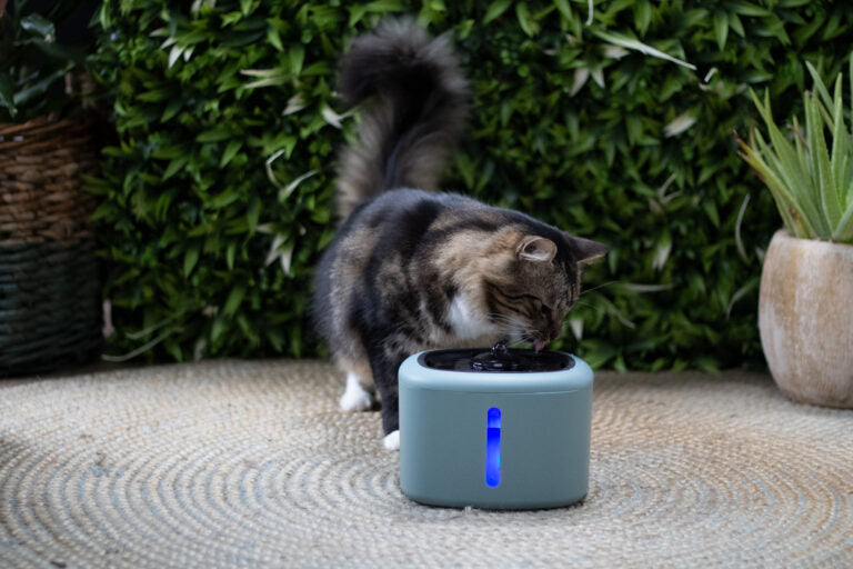 Boon drinkfontein aquabella 2,5 liter