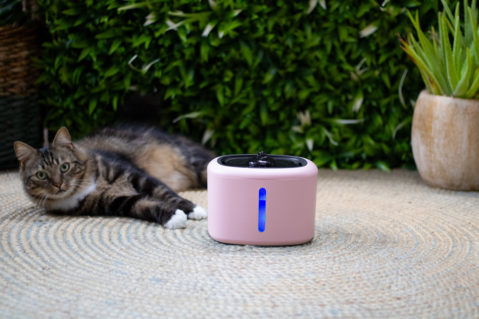 Boon drinkfontein aquabella 2,5 liter