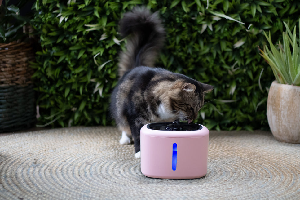 Boon drinkfontein aquabella 2,5 liter