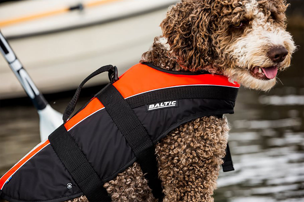 AnimalstoreXL Baltic Hondenzwemvest Mascot xxL Oranje Zwart