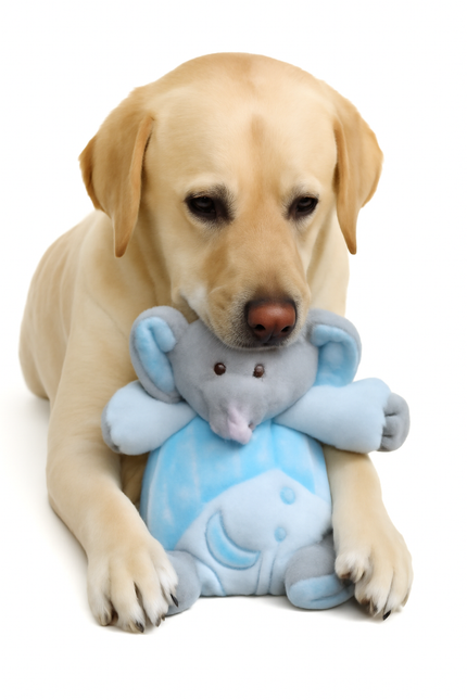 Boon Elephant Plush with Beep 15cm