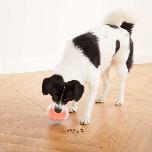 AnimalstoreXL Nina Ottosson Hondenspel Dog Rumble Puzzle