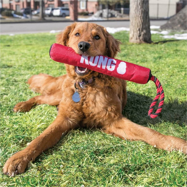 AnimalstoreXL Kong Signature Stick With Rope Medium