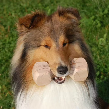 Apporteerblok Hout 2000g