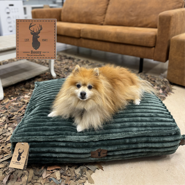 AnimalstoreXL Boony EST 1941 - orthopedisch traagschuim kussen - 3 kleuren