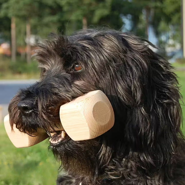 Apporteerblok Hout 2000g