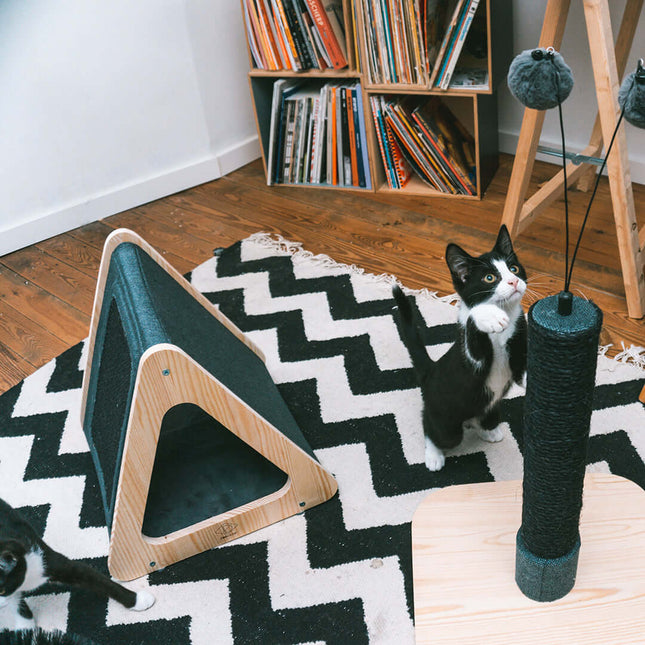 AnimalstoreXL D&D Home Toto Kattenhuisje 38x39x38cm Zwart/Blauw