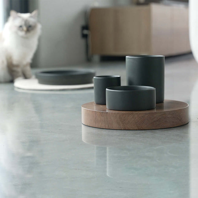 AnimalstoreXL D&D Home Iggy Verrijkingskom met 3 Niveaus 240-500-800ml 27x27x19cm Zwart