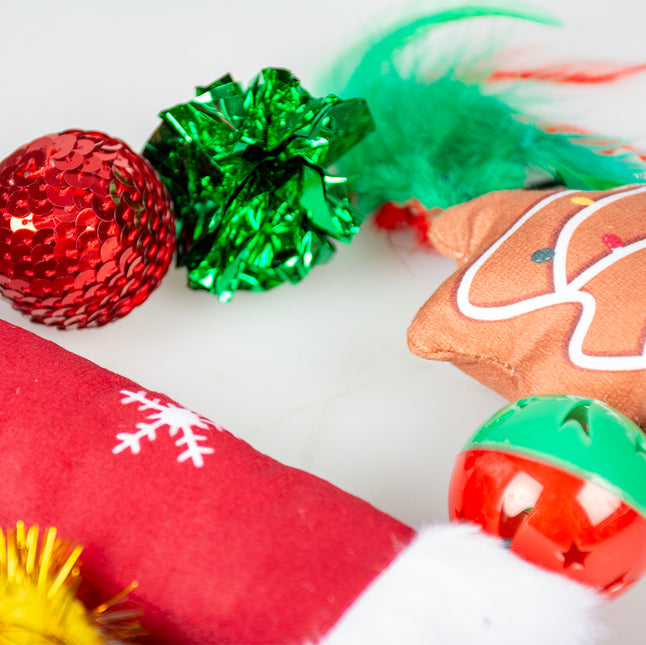 AnimalstoreXL Duvoplus geschenkzakje 10 kattenspeeltjes