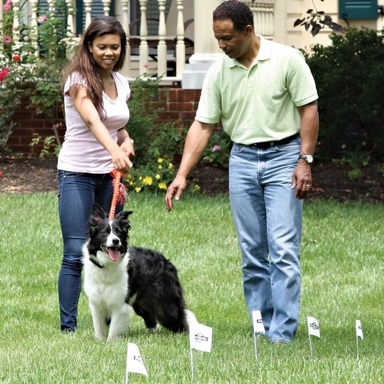 Petsafe Draad 150 meter met 50 Vlaggen