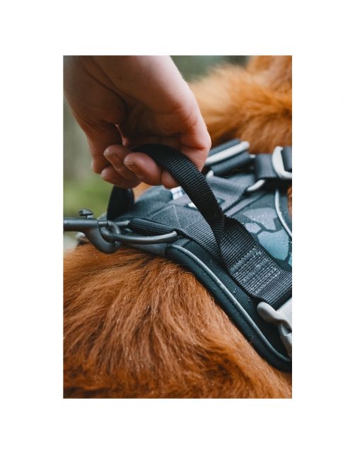 AnimalstoreXL Hurtta - Harness Weekend Warrior Zwart