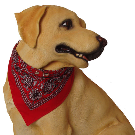 AnimalstoreXL Halsband met Zakdoek Rood