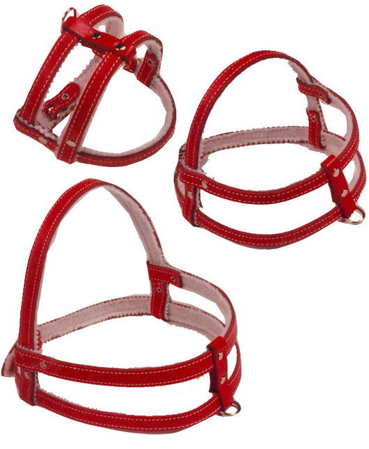 Boon Borsttuig Gevoerd Rood