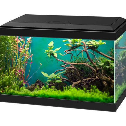 AnimalstoreXL Aqua 20 Classic