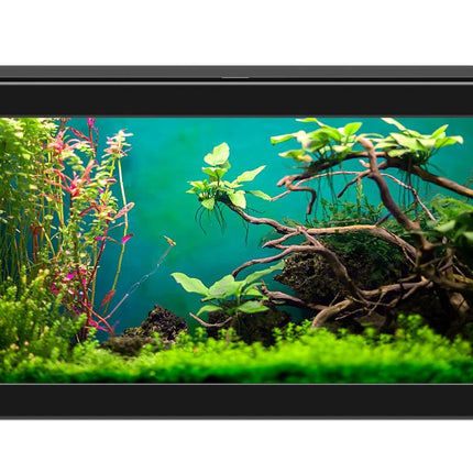 AnimalstoreXL Aqua 20 Classic