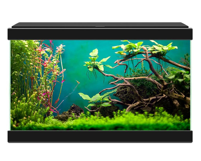 AnimalstoreXL Aqua 20 Classic