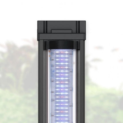 AnimalstoreXL Aquarium Volga 200 Wit-025