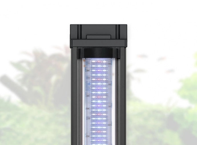 AnimalstoreXL Aquarium Volga 200 Wit-025