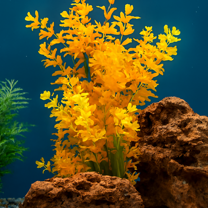 Aquascape Dragon Rock 3 kg