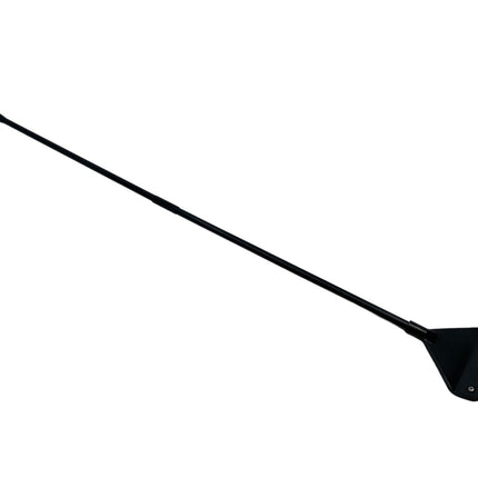 AnimalstoreXL AquastoreXL Algenkrabber