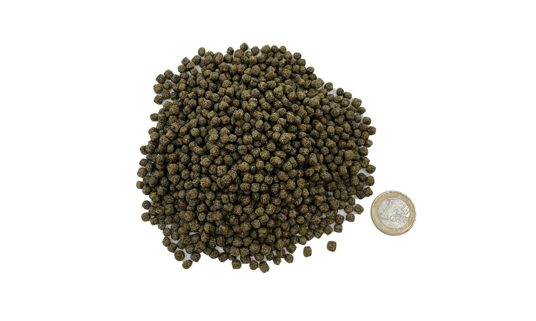 AnimalstoreXL AquastoreXL All Season Koi 4kg