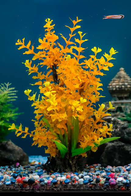 Art Plant 25cm Ludwigia Orange