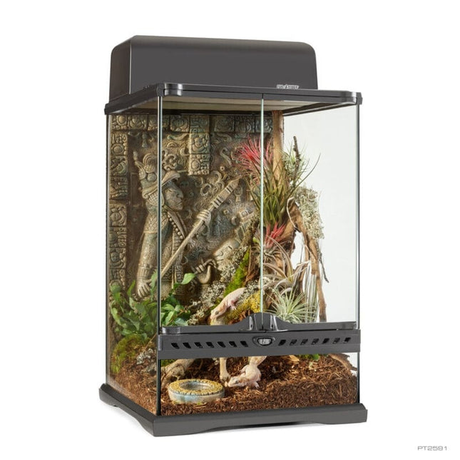 AnimalstoreXL Azteeks Terrarium Mini-Hoog
