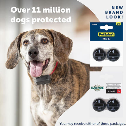 Petsafe Batterij Lithium 6 Volt Pak 2 stuks