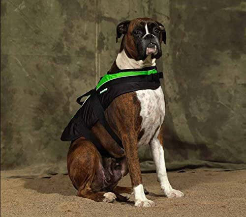 AnimalstoreXL Baltic Hondenzwemvest Mascot groen/zwart