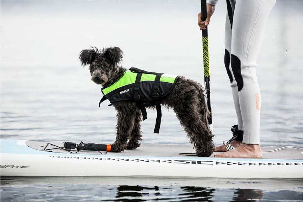 AnimalstoreXL Baltic Hondenzwemvest Mascot groen/zwart