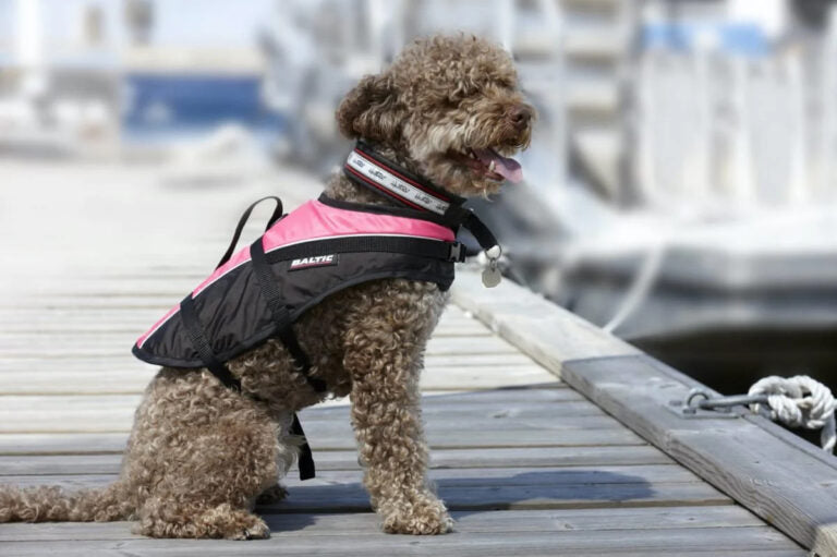 AnimalstoreXL Baltic hondenzwemvest Mascot roze/zwart