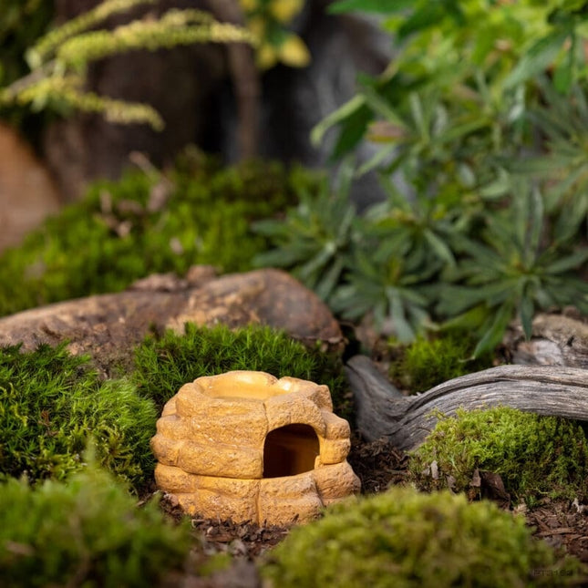 AnimalstoreXL Big Rock Klein - Met Vochtregulatie