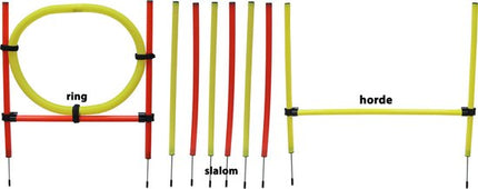 AnimalstoreXL Boon Agility Set 6x Stok met Springring en Horde