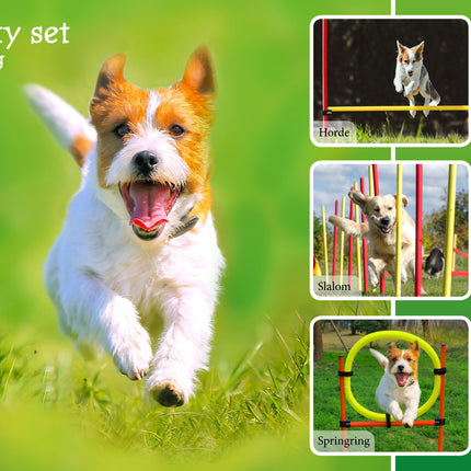 AnimalstoreXL Boon Agility Set 6x Stok met Springring en Horde