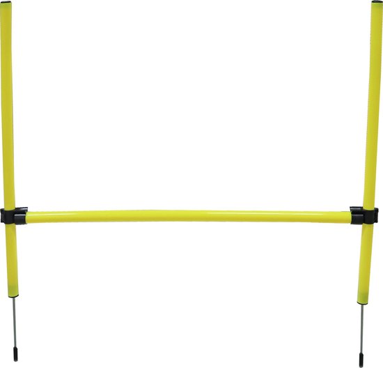 AnimalstoreXL Boon Agility Set 6x Stok met Springring en Horde