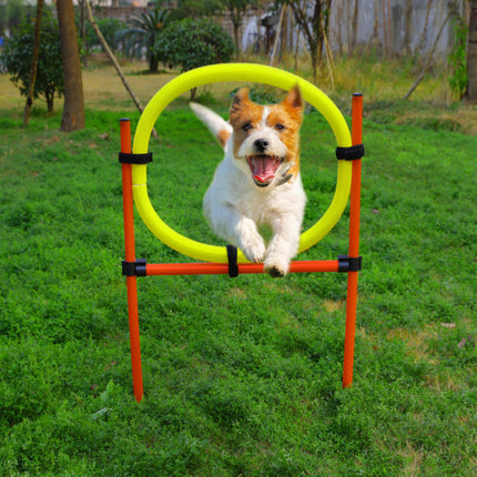 AnimalstoreXL Boon Agility Set 6x Stok met Springring en Horde