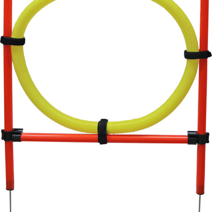 AnimalstoreXL Boon Agility Set 6x Stok met Springring en Horde