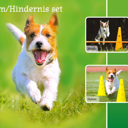 AnimalstoreXL Boon Agility Slalom En Hindernisset 4Xpylon
